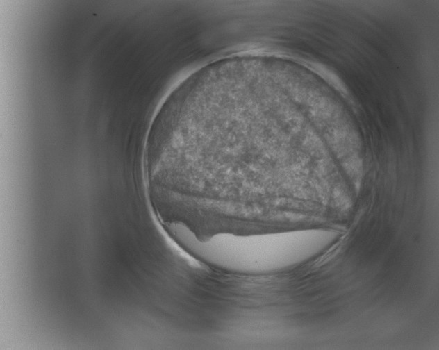 X0000067461247200604281820