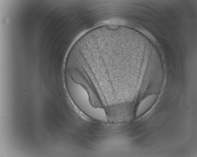 X0000067461248200604281820