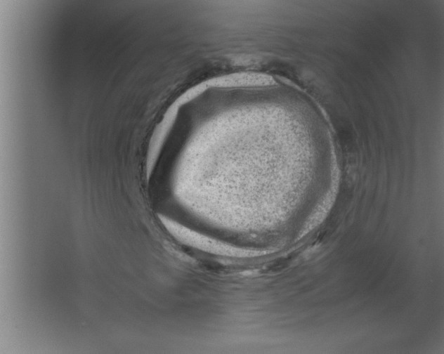 X0000067461249200604281819