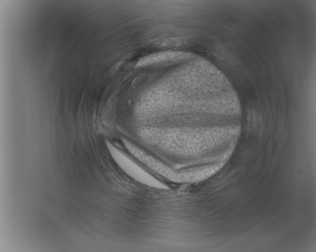 X0000067461250200604281819