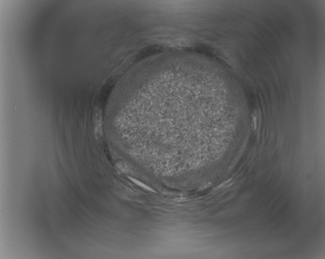 X0000067461251200604281819