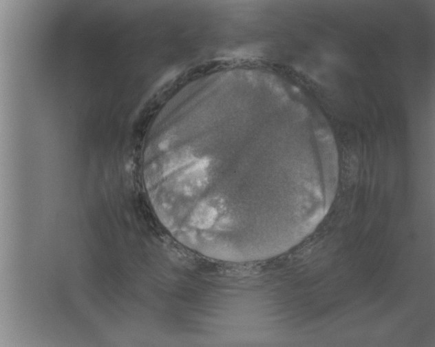 X0000067461254200604281819