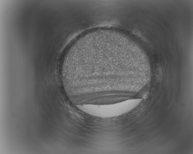 X0000067461256200604281819