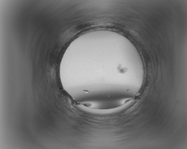 X0000067461257200604281819