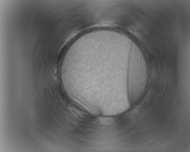 X0000067461258200604281819