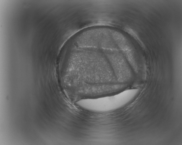 X0000067461260200604281819