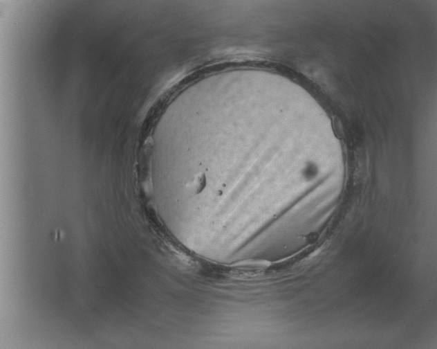 X0000067461261200604281819