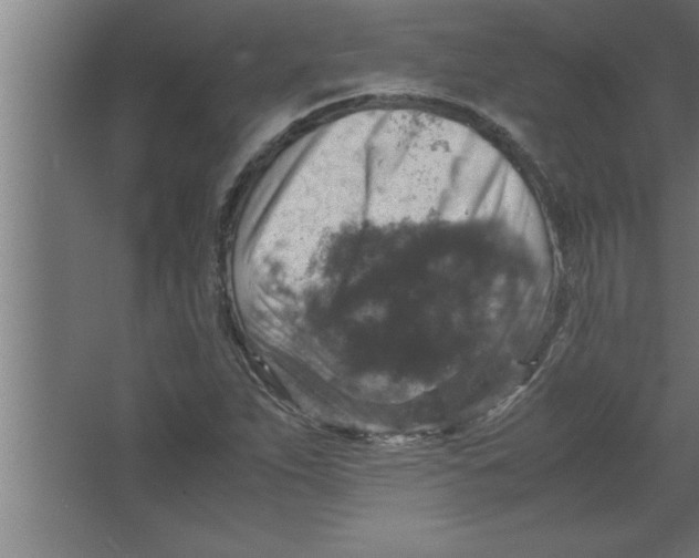 X0000067461263200604281819