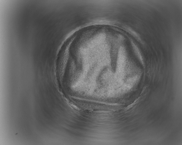 X0000067461264200604281819