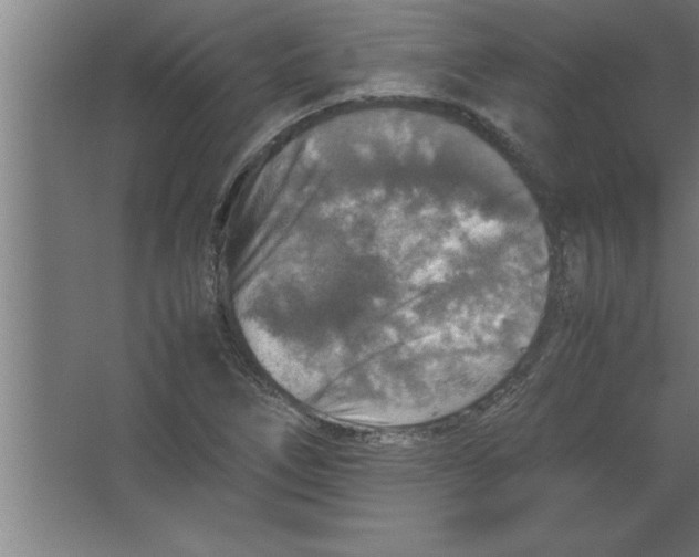 X0000067461266200604281819