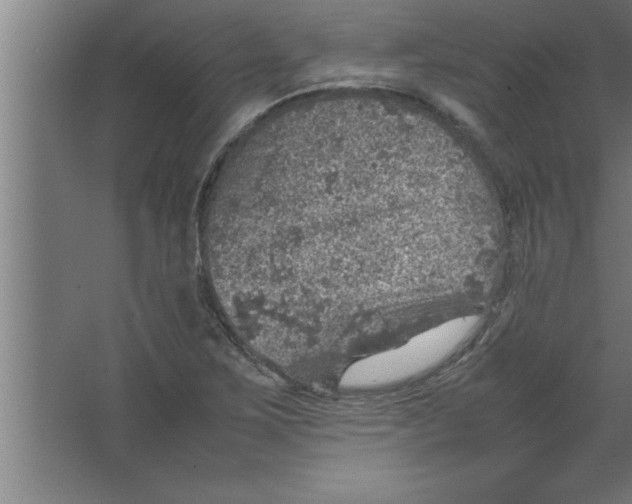 X0000067461267200604281819