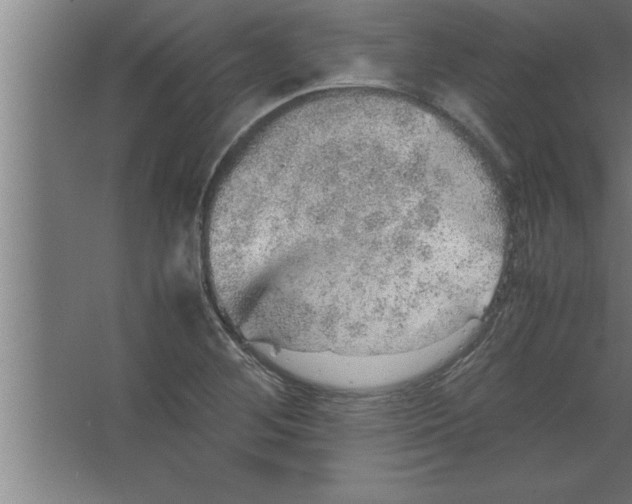 X0000067461268200604281819