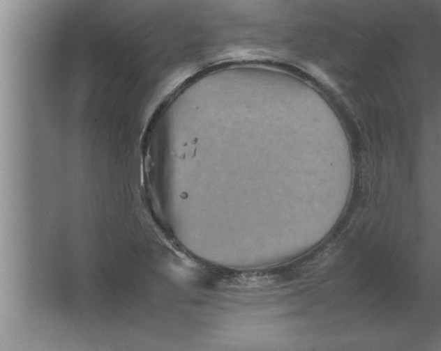 X0000067461269200604281819