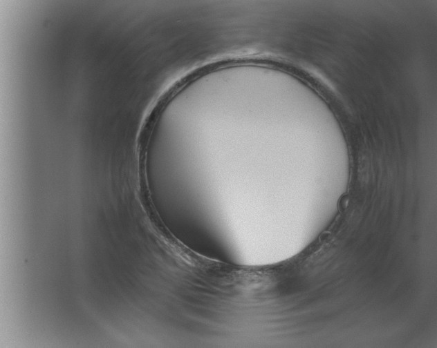 X0000067461270200604281819