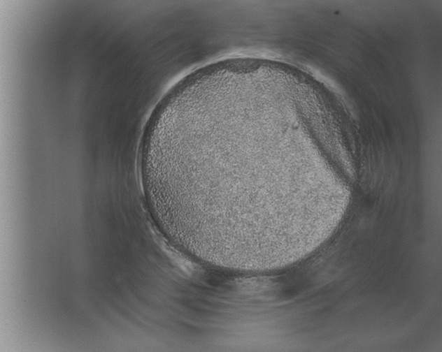 X0000067461272200604281819