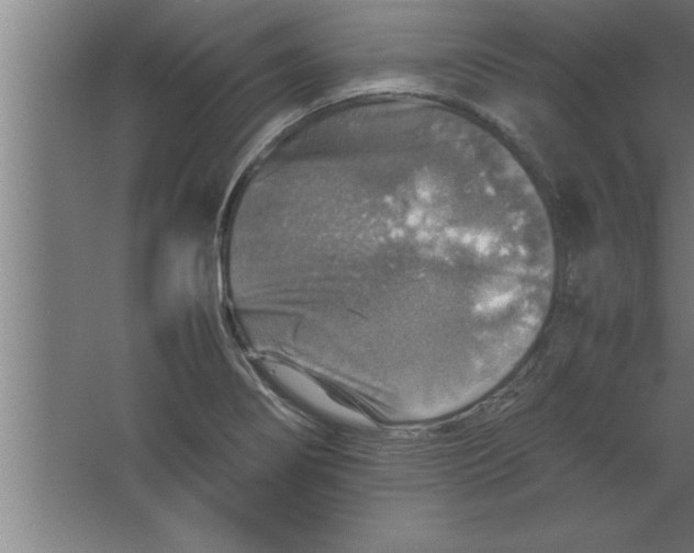 X0000067461274200604281819