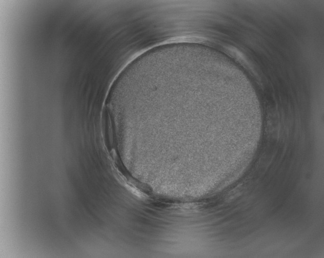 X0000067461276200604281819