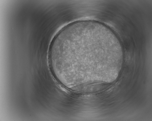 X0000067461278200604281818