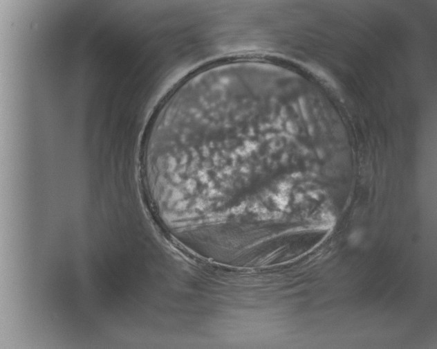 X0000067461279200604281818