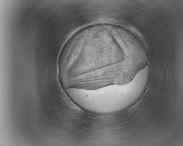 X0000067461280200604281818