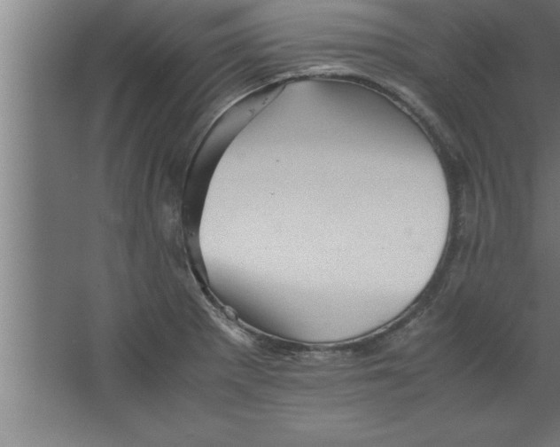 X0000067461281200604281818