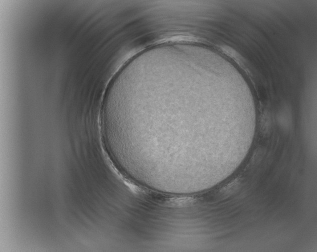 X0000067461282200604281818