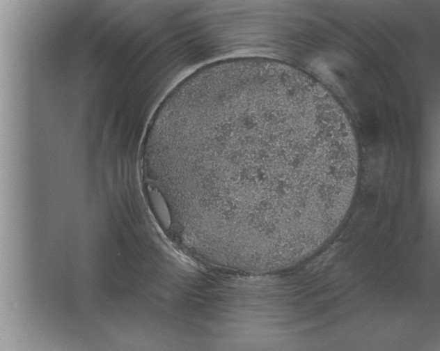 X0000067461284200604281818