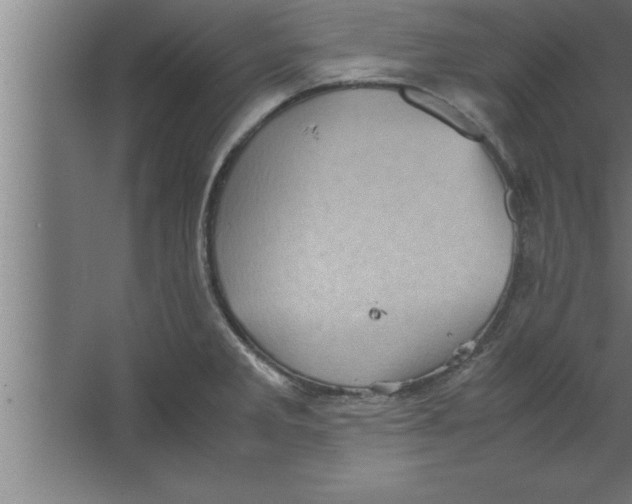 X0000067461285200604281818