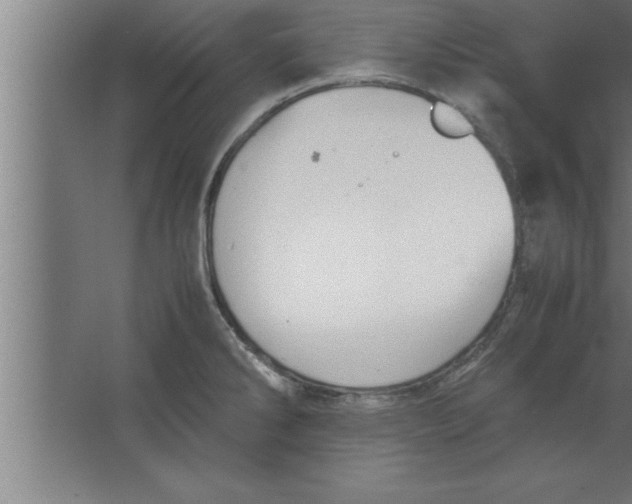 X0000067461286200604281818