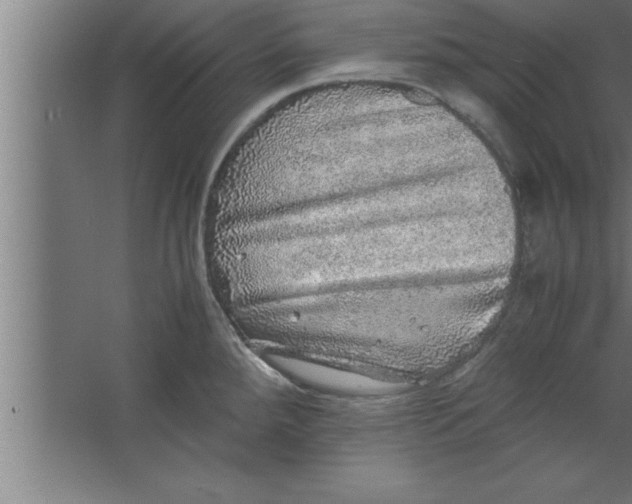 X0000067461288200604281818