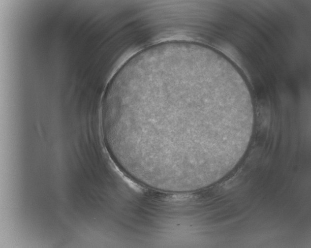 X0000067461290200604281818