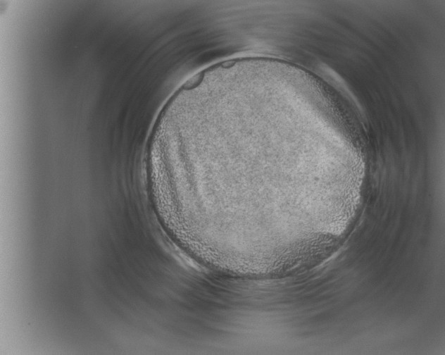 X0000067461292200604281818