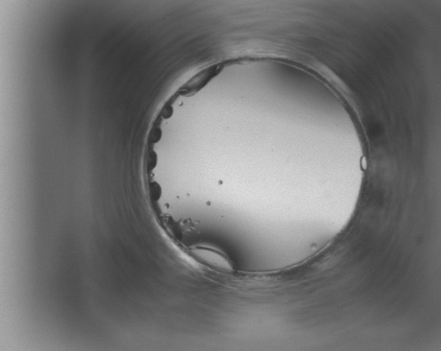 X0000067461293200604281818