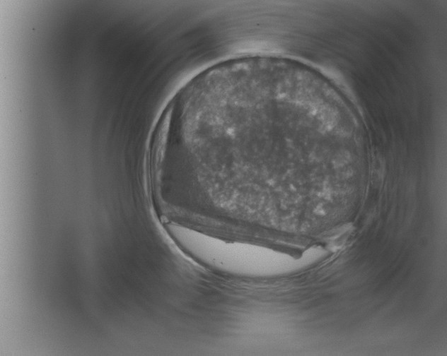 X0000067461295200604281818