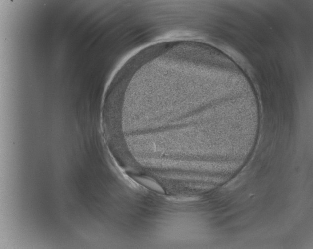 X0000067461296200604281818