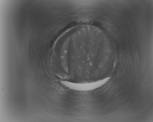 X0000067461297200604281817