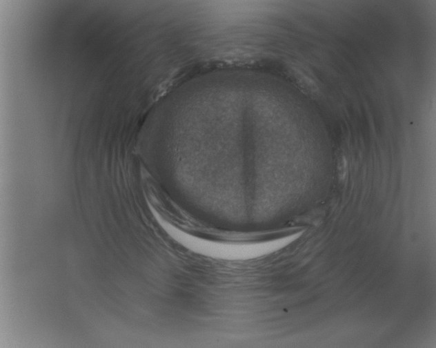 X0000067461298200604281817