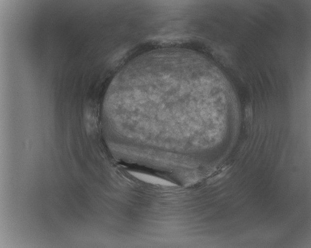 X0000067461300200604281817