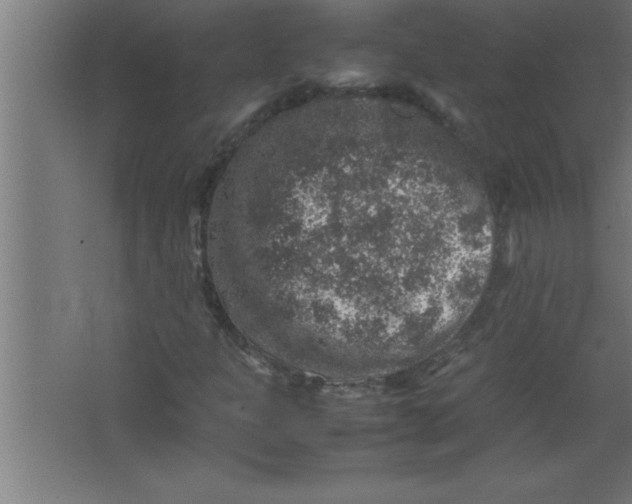 X0000067461301200604281817