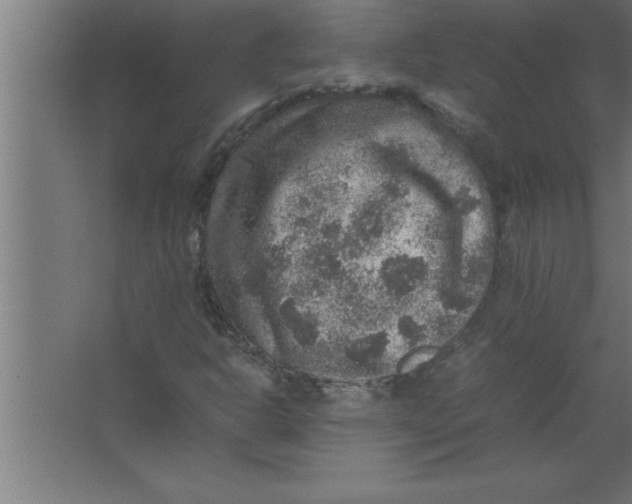 X0000067461302200604281817