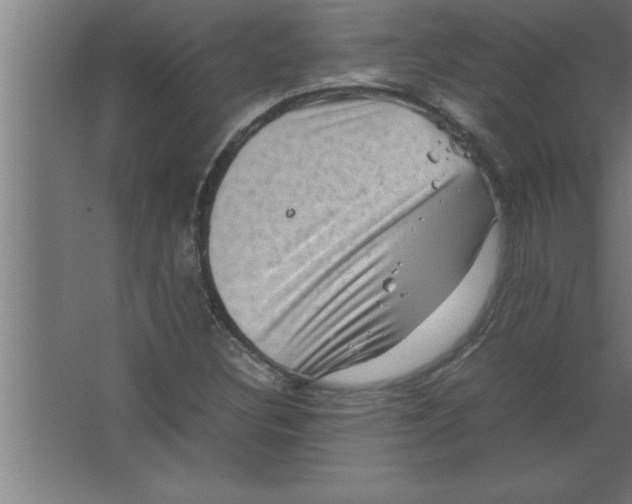 X0000067461308200604281818