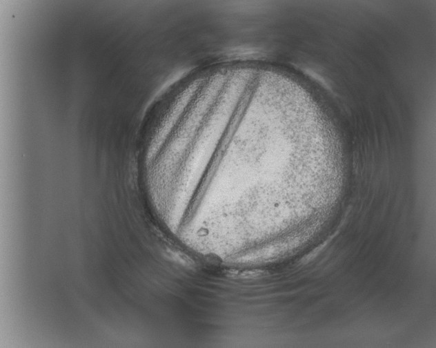 X0000067461309200604281818