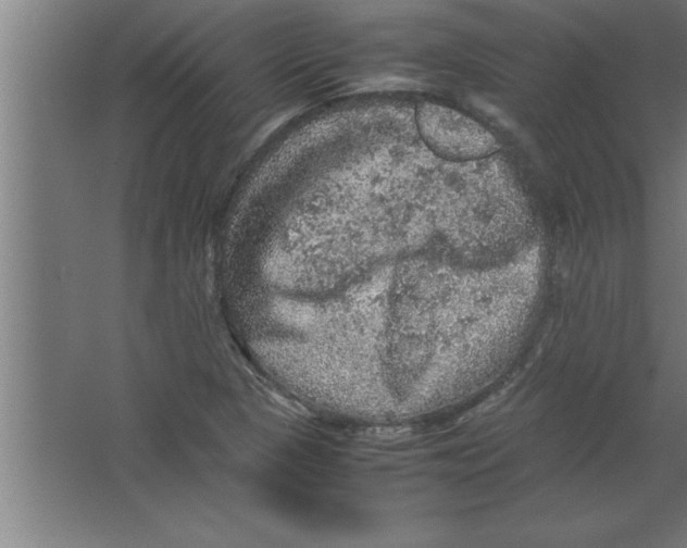 X0000067461313200604281818