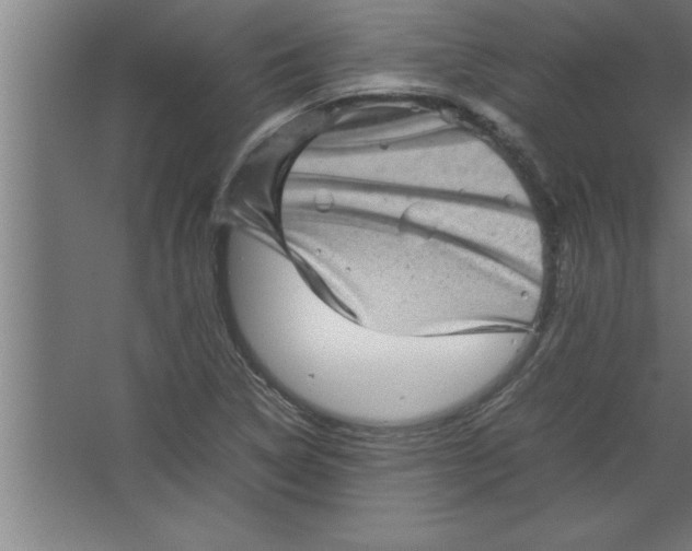 X0000067461314200604281818