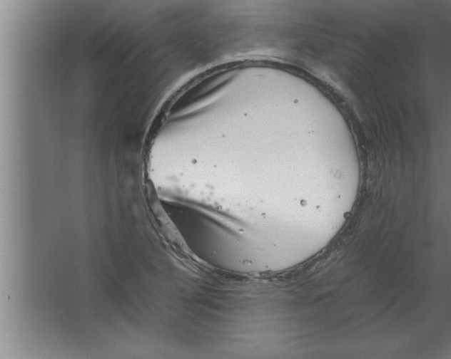 X0000067461316200604281818