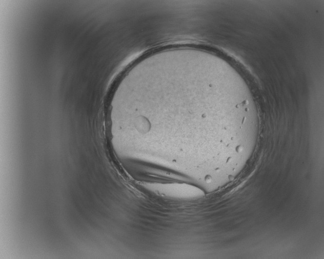 X0000067461317200604281818