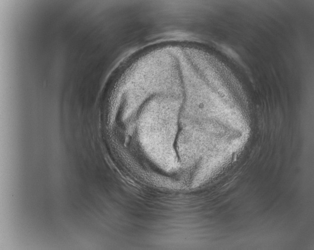 X0000067461318200604281818