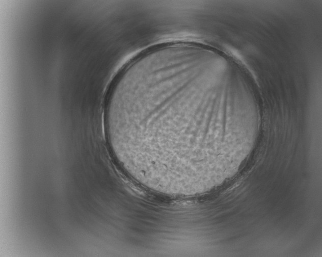 X0000067461320200604281818