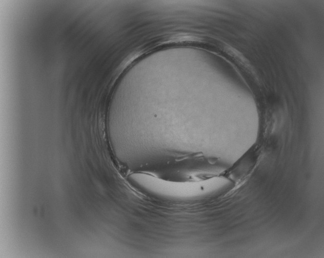 X0000067461321200604281818