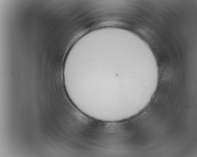 X0000067461322200604281818